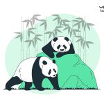 الگوریتم پاندا چیست و چطور کار می کند؟ - طاووس وب